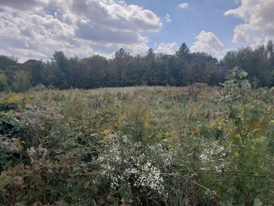 4830 N 1200 E, Loogootee, IN 47553 - photo 4