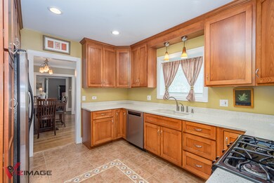 282 N Maple Ave, Elmhurst, IL 60126 - photo 5