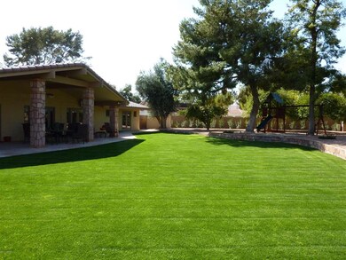 7  Back yard