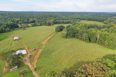 295 J Davis Rd unit LotWP001, Tallapoosa, GA 30176 - photo 7