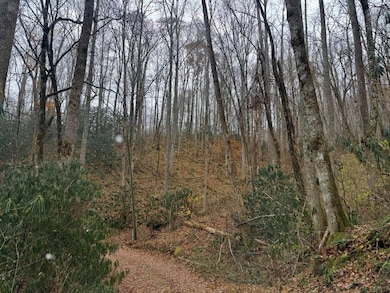 0 Henry Rd unit 26042658, Ellijay, NC 28734 - photo 6