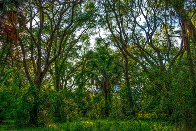 _DSC2346