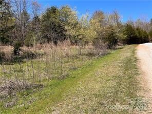 0000 Elliott Ln unit 45 & 48, Rutherfordton, NC 28139 - photo 2