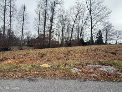 Lot #6 Oak Point Dr, Jonesville, VA 24263 - photo 3