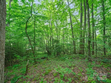 #1 TBD Lotties Creek Rd unit Lot 8, 39, 40, 41, 4, Burnsville, NC 28714 - photo 7