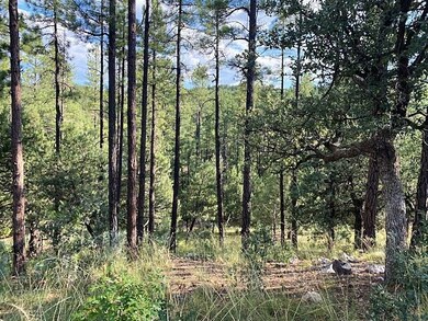 14 Wipila Wiki Dr, Payson, AZ 85541 - photo 2