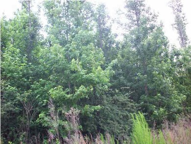LOT #8 Edgewood Ct, Atmore, AL 36502 - photo 6