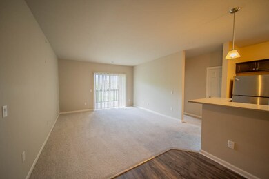 5194 Sassafras Dr unit 310, Fitchburg, WI 53711 - photo 4