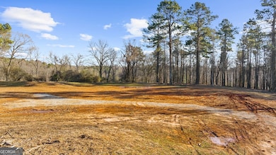 113 Hickory Flat Rd, Milton, GA 30004 - photo 3