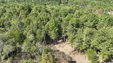 TBD, Tract 3 Polk Road 158, Mena, AR 71953 - photo 4