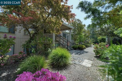 1300 Singingwood Ct unit 3, Walnut Creek, CA 94595 - photo 5