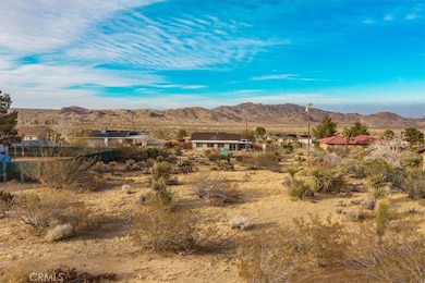 60400 Adobe Dr, Joshua Tree, CA 92252 - photo 3