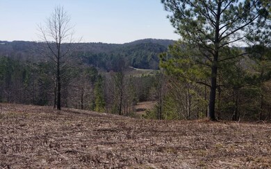 0 Dales Spur unit 295493, Ellijay, GA 30536 - photo 4