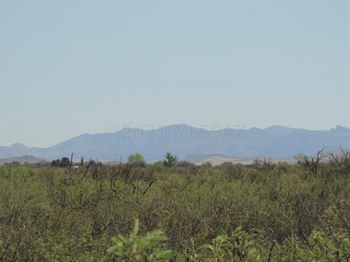 View NE