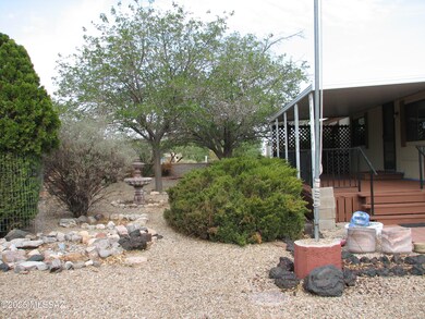 Mature Plantings