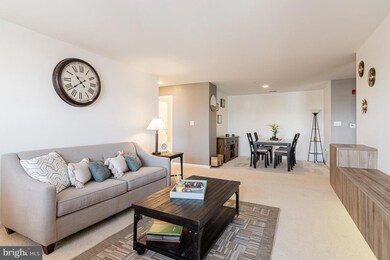 4800 Coyle Rd unit 506, Owings Mills, MD 21117 - photo 3