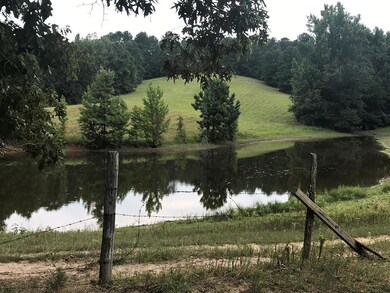 230 County Road 461, Oxford, MS 38655 - photo 5