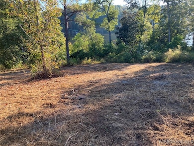 Lot 2 Sunshine Rd, Andalusia, AL 36421 - photo 3