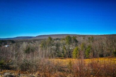 0 Lr 45042 Sugar Hollow Rd unit PM-75864, Saylorsburg, PA 18353 - photo 6