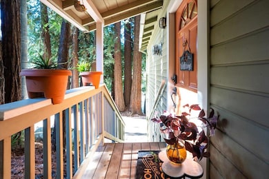 14780 Highway 9, Boulder Creek, CA 95006 - photo 5