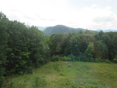 46-1 Merriman Forest Dr unit 46-1, Bartlett, NH 03845 - photo 3