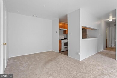 2010 Ravens Row unit 2010, Marlton, NJ 08053 - photo 6