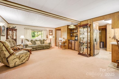 582 Lewis Branch Rd, Marshall, NC 28753 - photo 6