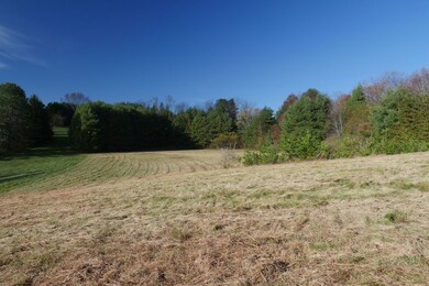 0 Harmon St unit LotWP001, Hillsville, VA 24343 - photo 7