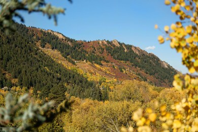 123 Mountain Laurel Dr, Aspen, CO 81611 - photo 7