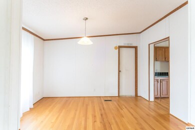 411 Bays Mountain Rd, Knoxville, TN 37920 - photo 6