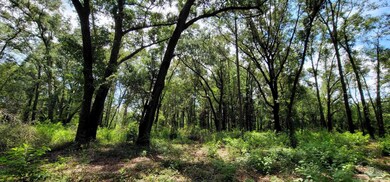 8632 Eight Mile Creek Rd, Pensacola, FL 32526 - photo 3