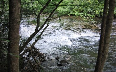 Additional View