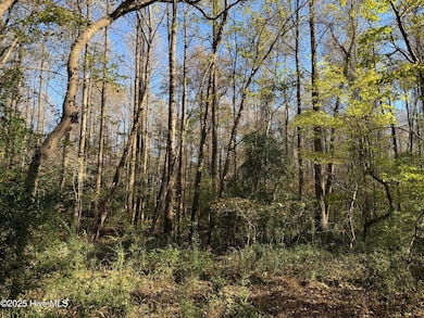 Lot 1 Alton Phillips Rd, Kinston, NC 28504 - photo 5