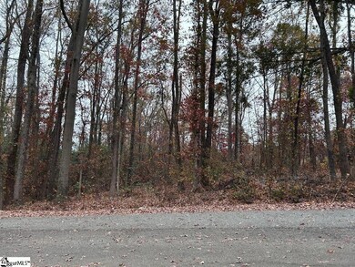 11 Pleasant Grove St, Welcome, SC 29611 - photo 5