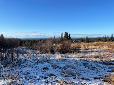0000 Trail Rd, Anchor Point, AK 99556 - photo 3