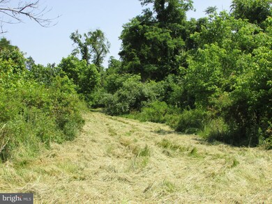 0 Ben Venue Rd unit 1000113599, Flint Hill, VA 22627 - photo 4