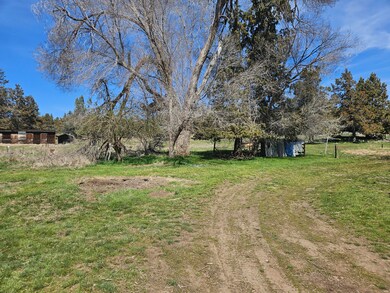 3. Back yard