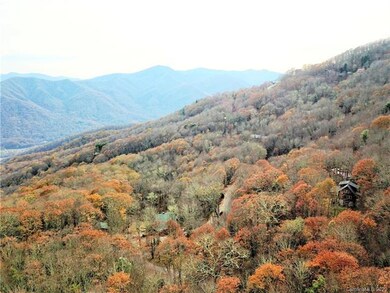 Drone photo with estimated view in front of trees at street level