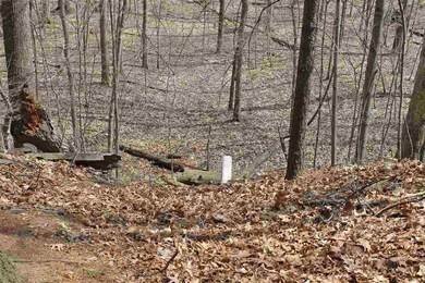 0 Havana V L Rd unit 50070534, Oakley, MI 48649 - photo 4