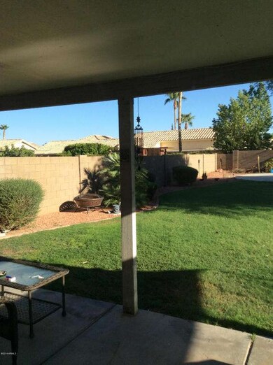 grass back covered patio