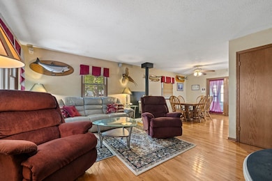 26 Perkins Ln, Golconda, IL 62938 - photo 6