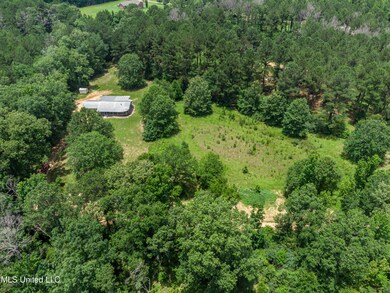 4173 Ruby Road drone-11