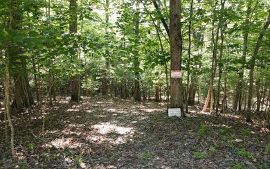 Additional View