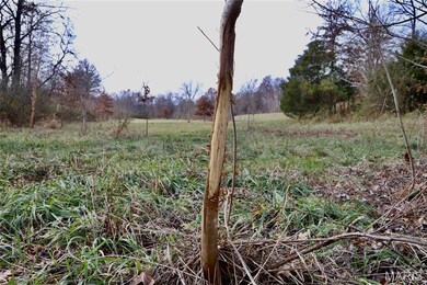 00 N Maysville Ln, Mount Vernon, IL 62864 - photo 6