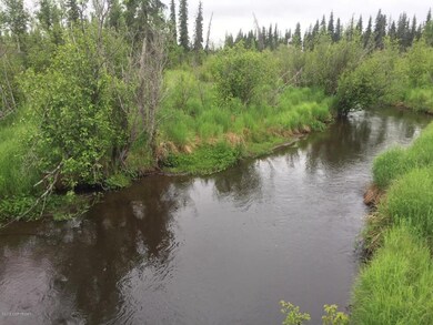 Crooked Creek 1