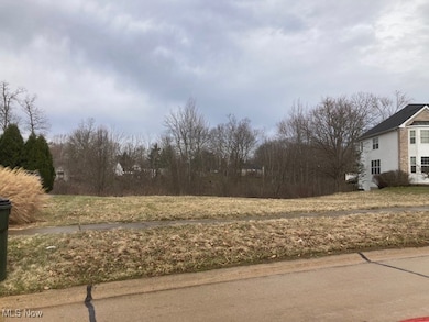 180 Beaumont Trail, Aurora, OH 44202 - photo 2