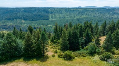 1605 Jasmine Ln Parcels 16 & 17, Weippe, ID 83553 - photo 4