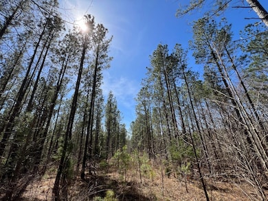 0 Harley Rucker Rd unit 19785832, Elberton, GA 30635 - photo 5