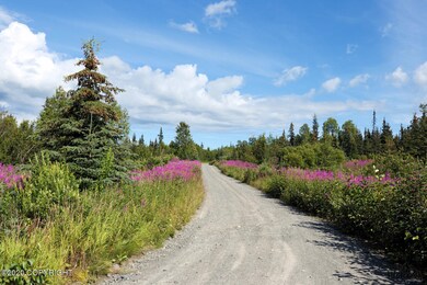 C13 Alaskan Wildwood Ranch(r), Nikolaevsk, AK 99556 - photo 3