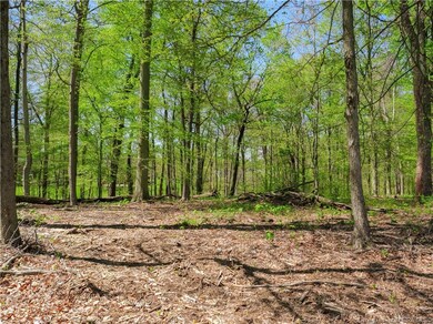 0 S Skyline Dr unit Lot 30-31 202407322, Floyds Knobs, IN 47119 - photo 4
